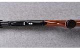 Remington ~ Model 870 Lightweight Magnum ~ 20 Ga. - 5 of 9