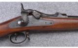 Springfield ~ Model 1884 Trapdoor ~ .45-70 Gov't. - 3 of 9