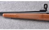 Winchester ~ Model 70 Sporter 
