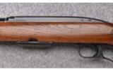 Winchester (New Haven Conn.) ~ Model 88 ~ .284 Win. - 7 of 9