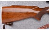 Winchester (USA) ~ Model 70 (Pre '64) Featherweight ~ .243 Win. - 2 of 9
