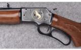 Marlin ~ 1897-1997 Century Limited ~ .22 S.L.& L.R - 7 of 9