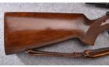 Winchester ~ Model 75 ~ .22 Rifle - 2 of 16