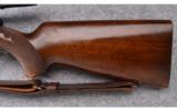 Winchester ~ Model 75 ~ .22 Rifle - 8 of 16