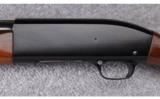 Winchester ~ Model 50 Semi Auto Feather Weight ~ 12 Ga. - 7 of 15