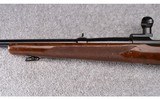 Winchester ~ Model 70 ~ .270 Win. - 7 of 14