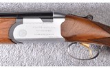 Pietro Beretta (Italy) ~ Silver Snipe ~ 12 GA - 18 of 26