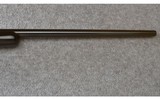 Winchester ~ Model 70 Safari Club International ~ .270 Winchester - 12 of 14