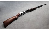 Winchester ~ 61 ~ .22 LR - 1 of 10