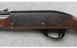 Remington ~ Nylon 66 Autoloader ~ .22 Long Rifle - 10 of 12