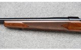 Winchester ~ Model 70 Sporter Varmint ~ .243 Win. - 9 of 12