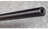 Blaser ~ Model R93 Luxus (Left Hand) ~ .257 Wby. Mag. - 13 of 14