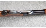 Winchester ~ Model 71 Deluxe ~ .348 W.C.F. - 8 of 12