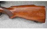 Winchester ~ Model 70 ~ .243 Win. - 11 of 12