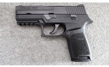 Sig Sauer ~ Model P250 Compact ~ .40 S&W - 2 of 4