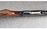 Winchester ~ Model 25 ~ 12 GA - 9 of 13
