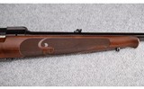Winchester ~ Model 70 XTR ~ .30-06 Sprg. - 4 of 12
