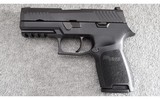 Sig Sauer ~ Model P320 ~ .45 ACP - 3 of 4