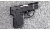 Taurus ~ TCP Model PT738 ~ .380 ACP - 2 of 4