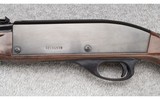 Remington ~ Nylon 66 Model ~ .22 LR - 6 of 12