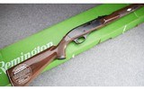 Remington ~ Nylon 66 Model ~ .22 LR - 1 of 12