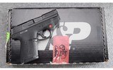 Smith & Wesson ~ M&P 9 Shield M 2.0 ~ 9 MM