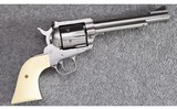 Ruger ~ New Model Blackhawk ~ .357 Magnum - 1 of 3