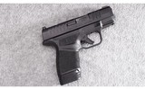 Springfield Armory ~ Hellcat ~ 9x19mm - 1 of 4