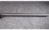 Savage ~ Model 116 ~ .375 Ruger - 11 of 12