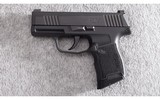 Sig Sauer ~ P365 ~ 9mm Luger - 2 of 4