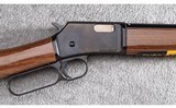 Browning ~ BL22 ~ .22 S, L, LR - 3 of 12