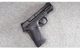 Smith & Wesson ~ M & P Shield ~ .380 ACP
