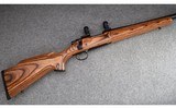 Remington
700
.22 250 Remington