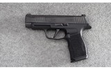 Sig Sauer ~ P365 X ~ 9mm Luger - 2 of 3