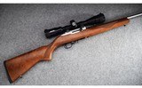 Ruger ~ 10/22 ~ .22 Long Rifle