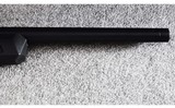 Springfield Armory ~ 2020 Rimfire ~ .22 Long Rifle - 11 of 13