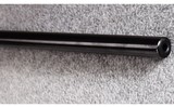 Savage ~ A22 ~ .22 WMR - 11 of 12