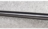 Remington ~ Model 700 ~ 7mm Remington Magnum - 14 of 14