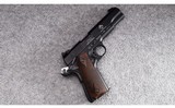 German Sport Guns ~ GSG 1911 ~ .22 Long Rifle