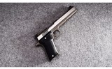 AMT ~ Automag II ~ .22 Magnum