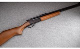 Savage ~ Model 24 Series S ~ .410 Bore / .22 Long Rifle