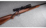 Winchester ~ Model 70 Carbine Short Action ~ .243 Winchester - 1 of 12