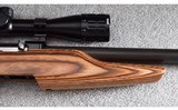Ruger ~ 10/22 Custom ~ .22 Long Rifle - 4 of 12