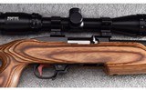 Ruger ~ 10/22 Custom ~ .22 Long Rifle - 3 of 12