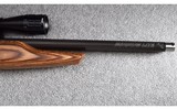 Ruger ~ 10/22 Custom ~ .22 Long Rifle - 11 of 12