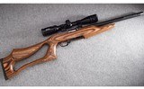 Ruger ~ 10/22 Custom ~ .22 Long Rifle - 1 of 12