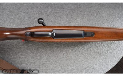 CZ ~ 550 American ~ .270 Winchester - Image 9 of 12