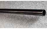 Winchester ~ Model 1912 ~ 12 Gauge - 11 of 11