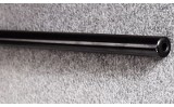 Savage ~ A22 ~ .22 WMR - 11 of 12