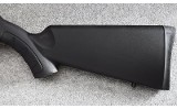 Savage ~ A22 ~ .22 WMR - 7 of 12